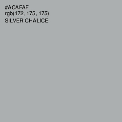 #ACAFAF - Silver Chalice Color Image
